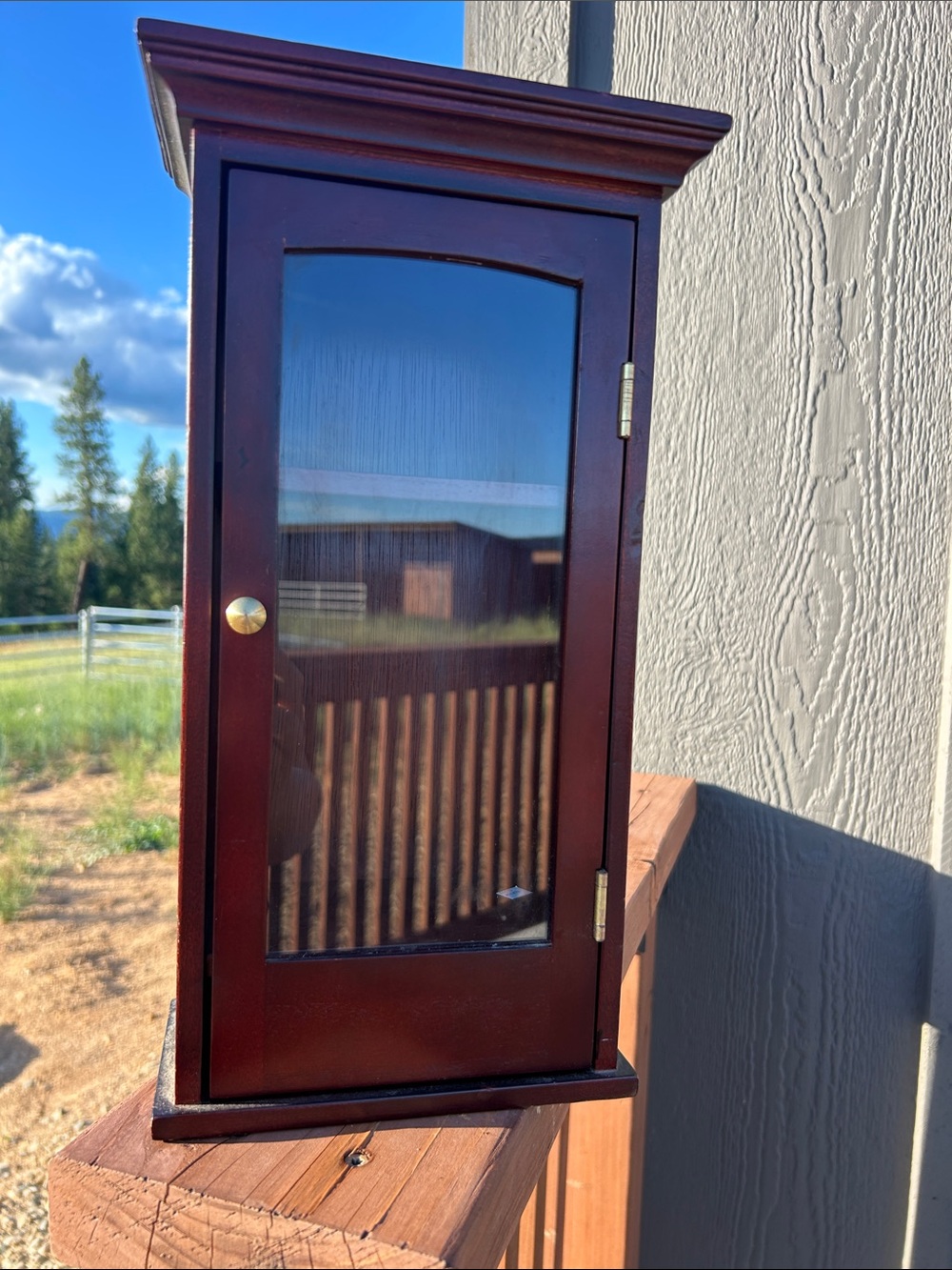 Vintage Cherry Wood Wall Cabinet with Glass Door